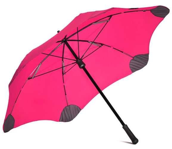 Уникальные и яркие зонты Blunt