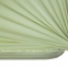 Трикотажная простынь на резинке Kaeppel 90-100/200 бледно-зеленая 1