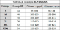 Мужской трикотажный комплект штаны с регланом Massana P731311 2