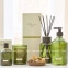 Аромадиффузор Christian Tortu Jardin Citrus 2556 ароматы цитруса 250ml 2