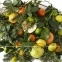 Жидкое мыло Christian Tortu Jardin Citrus 2389 ароматы цитруса 500ml 2