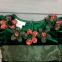 Платье Bonnie Jean Панночка для девочек зеленый 3