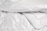 Одеяло шелковое Billerbeck Rubin Silk 155х215 0