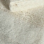 Полотенце махровое с кружевом Pavia Vanessa Ecru Ekru 50x85 (400952) 0