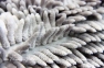 Набор ковриков в ванную комнату IzziHome Lilo Light Grey 40x60 и 60x100 (2200000545251) 0