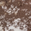 Банный коврик ABYSS & HABIDECOR Stone 770 70х120 2