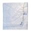 Одеяло Billerbeck Перлетта антиаллергенное 200х220 облегчённое 0