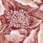 Круглый коврик в виде цветка ABYSS & HABIDECOR Damas 1