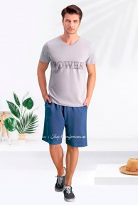 Комплект мужской из футболки и шорт RolyPoly Arnetta AR166-S серый