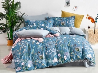 Сатиновое постельное белье Word of Dream JYBY116 евро