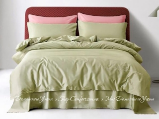 Сатиновое постельное белье с вышивкой Bella Villa T-0008 зеленое евро