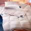 Одеяло пуховое Brinkhaus Arctic 200х220