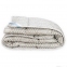 Антиаллергенное одеяло Leleka-Textile Лебяжий пух Премиум 200x220